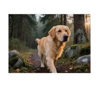 Chien Forêt Sentier Puzzle, 1000 Pièces Jeu Intérieur Adulte | 70x50cm Carton, Exercice Mental, Finition Surface Lisse, Amateurs De Puzzles, Réduction Du Stress