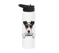 Chien Fox Terrier de poche amusant Fox Terrier Stainless Steel Insulated Water Bottle