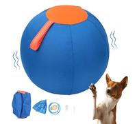 Chien géant Gonflable Durable de Boule géante, Couverture résistante aux morsures for l'exercice en Plein air