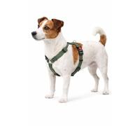 Chien Harnais Forme en H Ziggi Kaki S 35-50cm 40-50cm 15mm