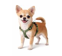 Chien Harnais Forme en H Ziggi Kaki XS 25-40cm 30-45cm 10mm