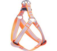 Chien Harnais Step&Go Fierro Orange Fluo S 25-45cm 25-45cm 15mm
