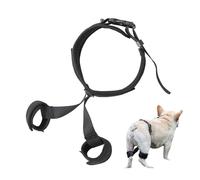 Chien Hip Brace | Aide Pour La Correction Pour Les Animaux, Soutien Du Genou Pour Les Chiens Après Le Soutien Du Genou Pour Les Chiens Avec Un Support De Rouleaux Luxueux Pour Les Avec La Faiblesse