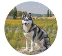 Chien Husky 1000 Pièces Puzzle Convient Aux Adultes Et Aux Enfants Jeu D'Intelligence Pets Mignons Puzzle Rond Décoration Moderne Bricolage Décoration pour Enfants Cadeau (67.5x67.5cm)