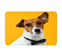 Chien Jack Russell Tapis de Sol Camping Antidérapant 3D Motif Entrée Tapis Chien Animal Paillasson Extérieur Paillasson Intérieur Tapis D'extérieur pour Chambre Couloir 50 x 80 cm
