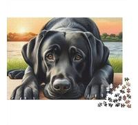 Chien Lab Noir Repos Difficile Puzzle 1000 pièces pour Adultes Labrador Noir Lac Coucher de Soleil Premium Épais Robuste Haute Qualité Vibrant Défiant Relaxation Antistress 38x26cm/1000pcs