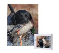 Chien Labrador de Chasse au Canard, Chiot Noir Cool, Animal,Puzzle Familial en Bois de 500 pièces pour Adultes et Adolescents
