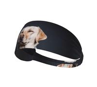 Chien Labrador Mignon,Bandeau de Sport Unisexe, Bandeau élastique Multi-usages pour Cheveux
