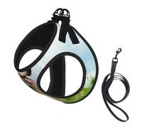 Chien Labrador Mignon imprimé,Harnais pour Animaux de Compagnie, Harnais réfléchissant réglable pour Chien,S
