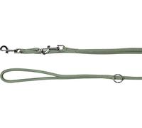 Chien Laisse d'entraînement Aiden Kaki 2m 10mm