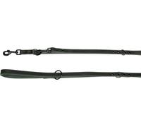 Chien Laisse d'entraînement Montana Vert 2m 20mm