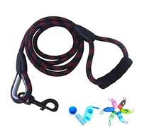 Chien Laisse Dressage Longue Sécurité Corde éducative Premium Laisse Moyen Grand Chien Retriever Leash 2M 3M 5M 10M Corde Traction Robuste Plomb Animalerie (10M, Noir)