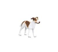 Chien Lévrier Greyhound - Bébé