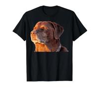 Chien Meme Labrador Retriever Cuit T-Shirt Graphique avec Valeur, Homme, Noir, L