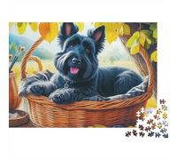 Chien Mignon 1000 pièces Puzzle pour Adultes, Scottish Terrier dans Un Panier en Osier, Haute qualité épais Robuste Vibrant Difficile Anti-Stress Cadeau Familial 52x38cm/1000pcs
