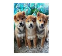 Chien Mignon Puzzles 300 Pièces pour Adultes Educa Jeu De Créativité Qualité Supérieure Détente Décoration Intérieure Cadeau De Noël 300 PCS