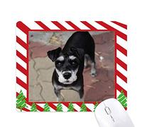 chien noir animal de compagnie jolie photo tapis de souris canne de noël du tapis.