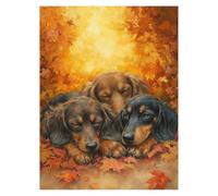 Chien Peinture Numero Adulte Animal Kit Peinture par Numero Adulte 70x95CM, Activité Manuelle Enfant Canvas Painting, Paint by Numbers avec Acrylic Paint et pinceaux pour Decoration Maison LSJ901