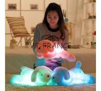 Chien Peluche Lumineux LED, Couleur: Rose, Taille: 30cm