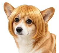 Chien Perruques Costume Animal À Frange Amusante Ajustable Style Humain