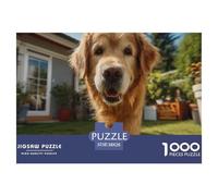 Chien Puzzle 1000 Pièces Cute Pets - Puzzle Cozy Soir D’Hiver, Carton Premium, Challenge en Duo, Poster pour Déco, 38x26cm/1000pcs