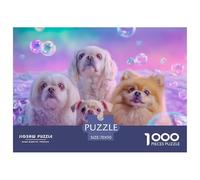 Chien Puzzle 1000 Pièces Cute Pets - Puzzle Cozy Soir D’Hiver, Carton Premium, Challenge en Duo, Poster pour Déco, 70x50cm/1000pcs