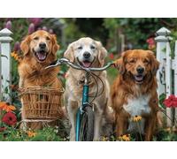 Chien Puzzle 500 Pieces Adultes Vélo Puzzles Classiques Panorama Bois Difficile Impossible Geant Jigsaw Jeu éducatif Défi Jouet pour Enfants et Adulte dès 14 Ans Cadeau Homme Femme Boxed P-897