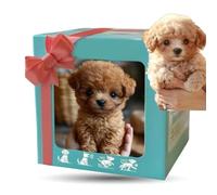 Chien Robot IA, Chiot Robot Réaliste Qui Agit comme Un Vrai Animal de Compagnie, Marche, Aboie Et Remue la Queue - Compagnon Parfait pour Adultes Et Amateurs d'animaux Style A