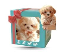 Chien Robot IA, Chiot Robot Réaliste Qui Agit comme Un Vrai Animal de Compagnie, Marche, Aboie Et Remue la Queue - Compagnon Parfait pour Adultes Et Amateurs d'animaux Style B