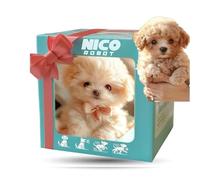 Chien Robot Nico, Chiens Robots IA Réalistes, Chiot Robot Qui Agit comme Un Vrai Chien, Chiens en Peluche électroniques Interactifs pour S'asseoir, Aboyer, Marcher Et Courir White