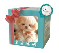 Chien Robot pour Enfants,2025 Jouet de Chiot Robotique Interactif, Animaux de Compagnie Électroniques Cadeaux Marche, Aboiement, Reprise de la Queue pour Les Enfants Et Les Adultes C