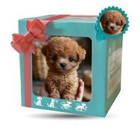 Chien Robotique IA 2026, Jouet Chien Robot avec Marche, Aboiements, Assis Et Course Réalistes, pour Enfants De Moins De 10 Ans (sans Pile), Cadeau pour Garçons, Filles Et Adultes Brown