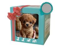 Chien robotique IA amélioré pour adultes, chiot robot réaliste, peluche interactive qui éveille la curiosité, capable de marcher, d'aboyer et de remuer la queue, pour enfants et adultes (F#)