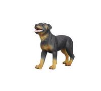 Chien Rottweiler