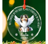 Chien Saint-Bernard Décoration De Noël À Suspendre Verre Sapin Décoration D'Ornement De Noël avec Ficelle Christmas Hanging