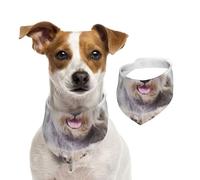 Chien Schnauzer Mignon,Bandanas pour Chien, écharpe en Coton, Bavoirs réglables pour Animaux de Compagnie,M