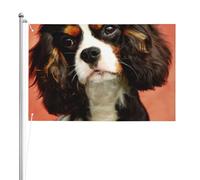 Chien Shih Tzu à longues oreilles, chiot, animal de compagnie, design,Drapeau de jardin, bannière décorative, drapeau double face, 2 x 3 pieds, pour extérieur et intérieur