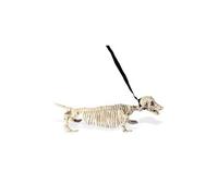 Chien squelette luxe Halloween (55 cm)