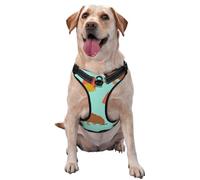 Chien Teckel Saucisse,Harnais pour Animaux de Compagnie, Harnais réfléchissant réglable pour Chien,XL