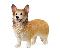 Chien Welsh Corgi