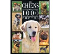 Chiens 1000 photos