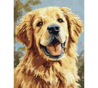 Chiens Animaux Kit De Crochet Golden Retriever De Dessin Animé Ensemble De Tapis À Faire Soi-Même Avec Toile Imprimée,Fil À Crochet，Broderie,Loquet，Tapisserie Pour La Décoration De La 35x46in