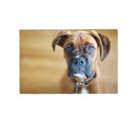 Chiens Boxer Chiot Animaux Chiens, Sets de Table Imitation Lin Lot de 6 Sets de Table lavables Tapis de Plateau résistants à la Chaleur 30x45 cm