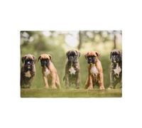 Chiens Boxer Chiots Animaux de Compagnie Chiens de Famille, Sets de Table Imitation Lin Lot de 6 Sets de Table lavables Tapis de Plateau résistants à la Chaleur 30x45 cm