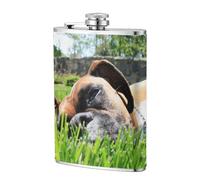 Chiens Boxers Animaux Verts Chiens de Pelouse,Flasque de poche plate de 8 oz en acier inoxydable 304, idéale pour les activités de plein air.