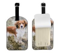 Chiens dans l'eau, rivière, chiens paniel bruns et blancs,Étiquettes à bagages en cuir PU, étiquette nominative de voyage résistante, lot de 2