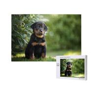 Chiens De Berger Français Beauceron Chiot Noir Mignon, Puzzle 1000 pièces en Bois pour Adultes et Adolescents, Jeu Familial, décoration Murale