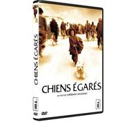 Chiens Égarés