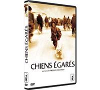 Chiens égarés G