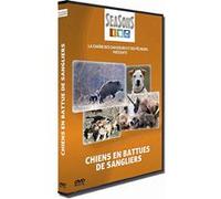 Chiens en battues de sangliers E